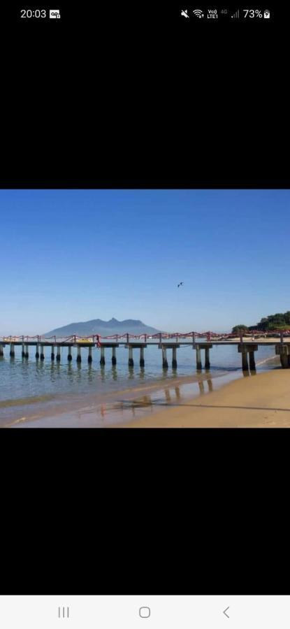 Flor Do Caribe *