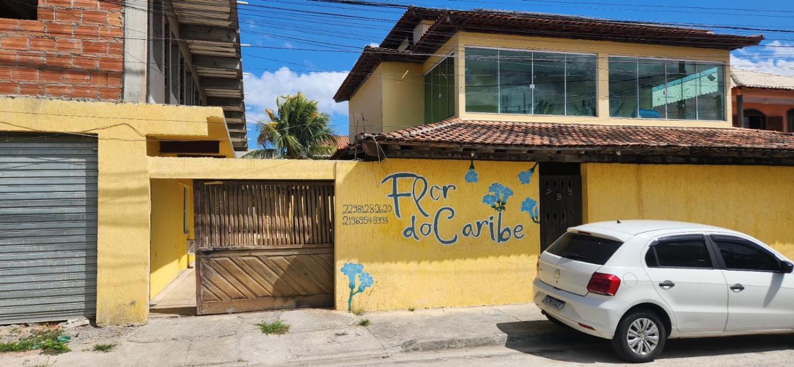 Flor Do Caribe